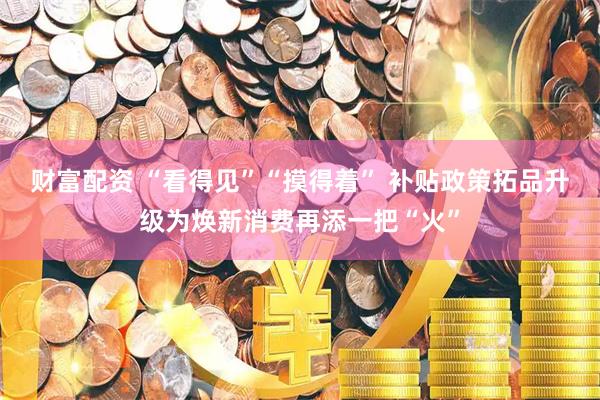 财富配资 “看得见”“摸得着” 补贴政策拓品升级为焕新消费再添一把“火”